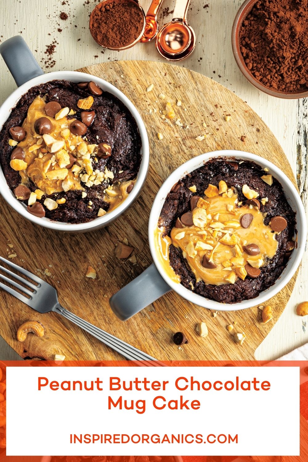 Peanut Butter Chocolate Mug Cake Inspired Organics